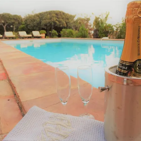5* Avec Piscine Et Vue Aux Issambres - Fr-1-768-30